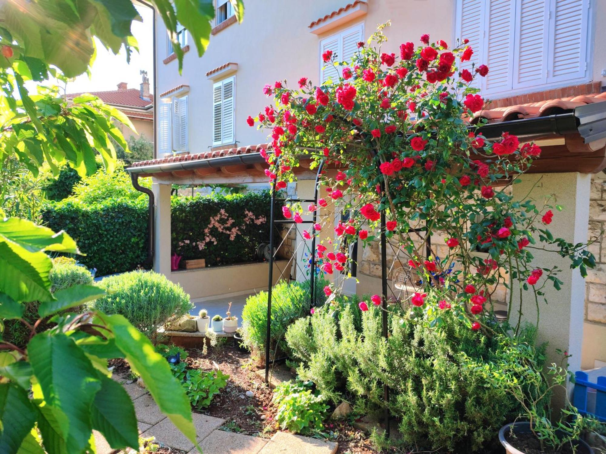 House Apartment Torretta ริเยกา ภายนอก รูปภาพ