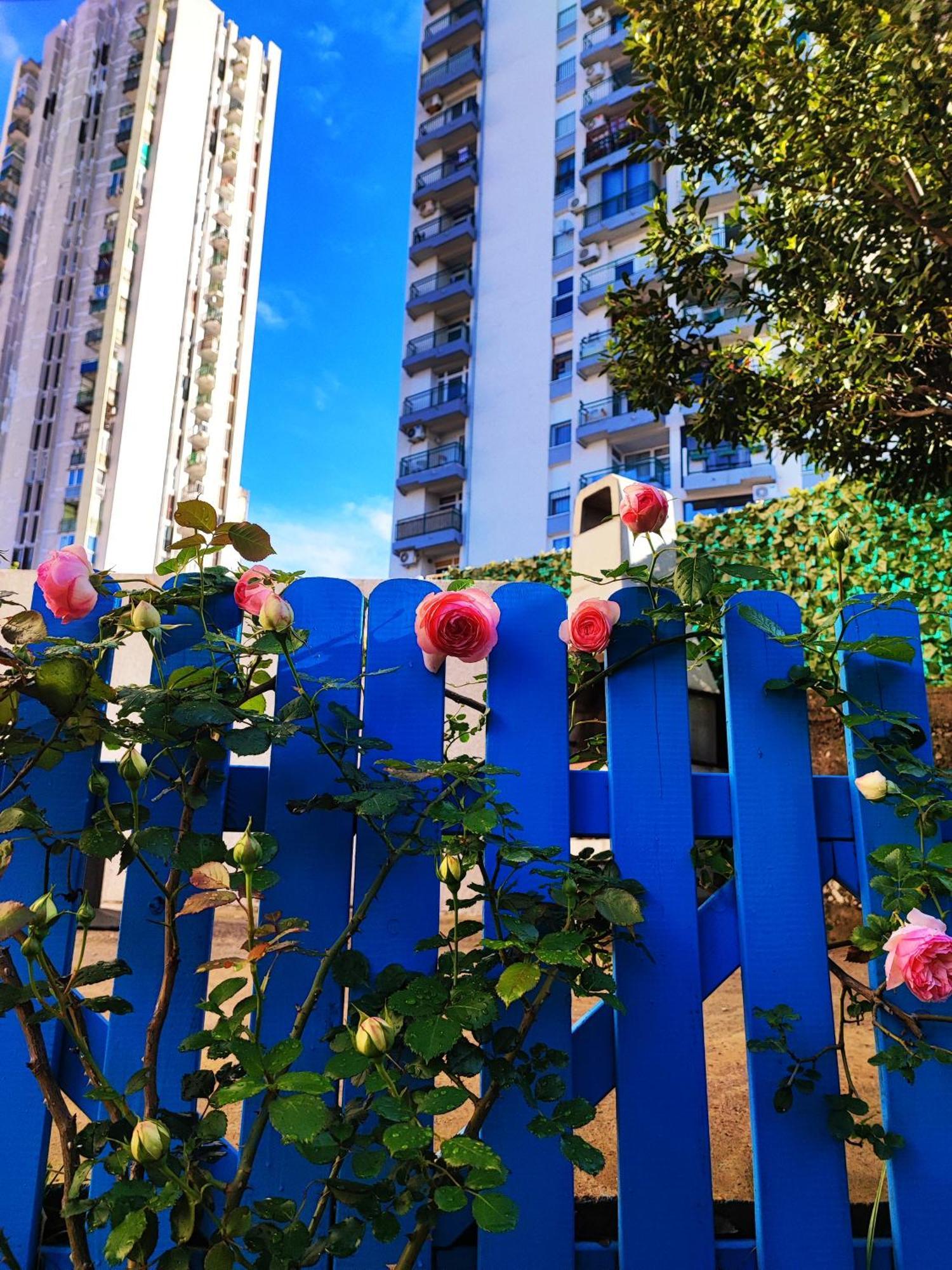 House Apartment Torretta ริเยกา ภายนอก รูปภาพ
